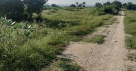 Bán nhanh lô đất 2000m2, giá cực tốt thời điểm này, Bình Thuận - LH: 0933391992