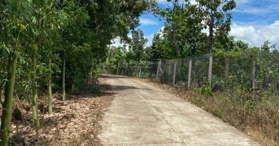 Cần bán vườn mít đang thu MT thông xã Phú Lộc TT Tân Phú - LH: 0968573758