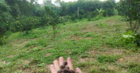 Bán nhanh mảnh đất 800m2, Sông Công, Thái Nguyên. LH 0987008185