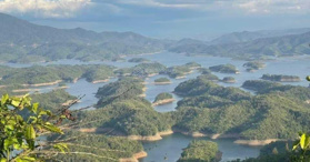 Chính chủ cho thuê 1,3ha đất view Hồ Tà Đùng phù hợp làm du lịch- LH: 0906602186