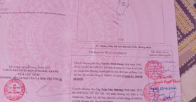 Đất phân lô View hồ điều hoà, Bích Động Việt Yên Bắc Giang- LH: 0977056286