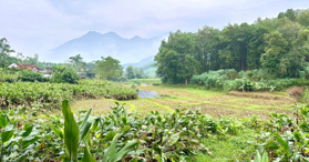 Bán đất ở Đường 415, Xã Khánh Thượng, Ba Vì, Hà Nội 6.500 m² - LH: 0986911102