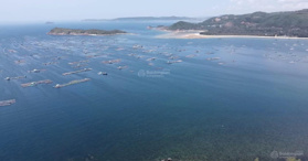 Bán đất làm du lịch kinh doanh resort homestay ở Phường Xuân Đài, Sông Cầu, Phú Yên - LH: 0937629566