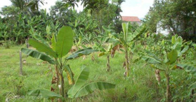 Bán đất tại xã Hòa Thắng, TP Buôn Ma Thuột, Đắk Lắk - LH: 0903033343