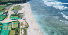 Bán đất tại khu du lịch Hang Câu, xã An Bình, Lý Sơn, Quảng Ngãi 972 m² - LH: 0858922276