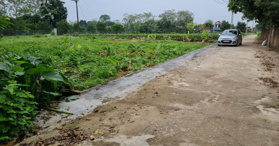 Bán đất sinh thái nhà vườn giá rẻ tại xã Trần Phú, Chương Mỹ, Hà Nội- LH: 0985106116