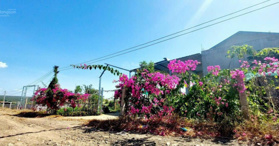 Bán 2000m2 đất có đường làm nhà vườn view Bàu Trắng, Bình Thuận - LH: 0914967479