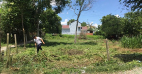 Bán gấp đất MT Trảng Bàng, Tây Ninh, Gần KCN. 15x51 - LH: 0906309798