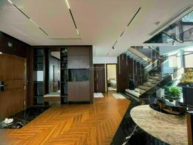 Bán căn Duplex, penthouse chung cư The Zei Plaza - Giá tốt nhất thị trường