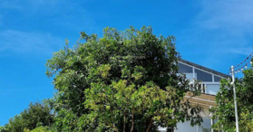 Bán gấp đất tại Xã Đam Bri, Bảo Lộc, Lâm Đồng - LH: 0937658235