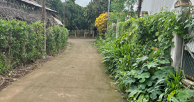 Cần bán 3.93sào đất (giá chỉ 6tỷ) có 300m2 thổ cư, Long Khánh - LH: 0943319977