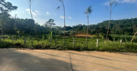 Bán lô đất đẹp giá rẻ nhất lô đất tại Yên Bài, Ba Vì, Hà Nội 4.270 m² - LH: 0908403119