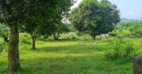 Bán lô đất 3 MT ở Xã Yên Bài, Ba Vì, Hà Nội 1.300 m² - LH: 0339689555