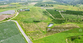 Bán đất 3 mặt tiền xã Ninh Gia, Đức Trọng, Lâm Đồng- LH: 0975753575