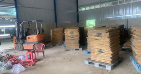 Bán xưởng + đất 1,7ha xã An Thạnh huyện Bến Cầu, Tây Ninh - LH: 0909805778