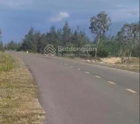 Bán đất CLN thôn Phước An, xã Bình Hải, huyện Thăng Bình, Quảng Nam, LH - 0932144532