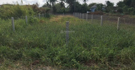 Cần bán 250m2 đất full thổ cư Xã Mỹ Lệ, Cần Đước, Long An- LH: 0984104979