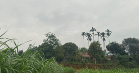 Bán đất tại Đường 87A, Xóm Bài, Xã Yên Bài, Ba Vì, Hà Nội 360 m² - LH: 0974715503