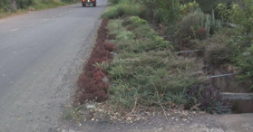 Bán đất mặt tiền đường nhựa 765 DT 4400m2 ở Lâm San huyện Cẩm Mỹ - LH: 0909805778