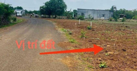 Bán đất 1000m2 ngay tuyến số 2, KCN Đồng Nam Đồng Phú - LH: 0963382795.