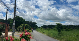 Bán đất 287m2 6x49m, MT tại Gò Dầu, Tây Ninh - LH: 0823088779