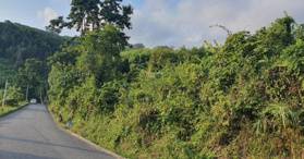 Bán đất tại thị trấn Tô Hạp, Khánh Sơn, tỉnh Khánh Hòa - LH: 0913115603