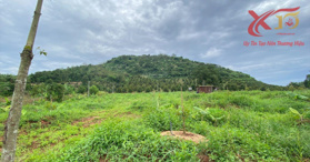 Bán đất vườn Đồi Rìu xã Hàng Gòn TP Long Khánh 15229m2 - LH: 0933725660