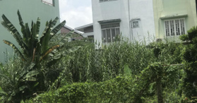 Bán đất MT đường Nguyễn Thông, Long Hoà, Bình Thuỷ, CT. LH:0777597935