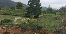 Bán đất vườn tại Tú Lý, Đà Bắc, Hòa Bình 4608m2 có 400m2 đất ở 0982607994