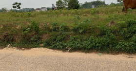 Bán đất có sổ giá 2,5tỷ, Phổ Yên, Thái Nguyên LH 0938640237