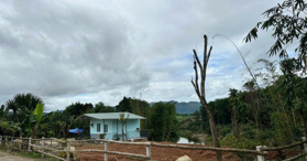 Bán mảnh vườn farm đẹp view sông Chò Khánh Hiệp Khánh Vĩnh - LH: 0962132885