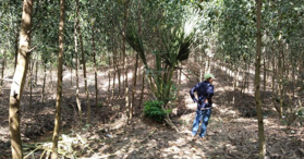 Đất đường mặt tiền tại Gia Huynh, Tánh Linh, Bình Thuận, DT 200m - LH: 0989222477