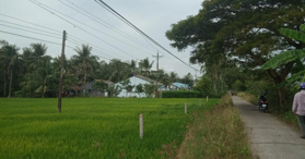 Bán đất tại huyện Lộ 29, Long Phú,  Sóc Trăng 795 m² - LH: 0357300444