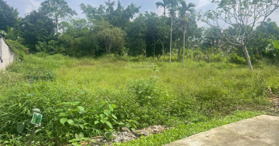 Bán đất ở Đường 87A, Xã Vân Hòa, Ba Vì, Hà Nội 1.761 m² - LH: 0974715503