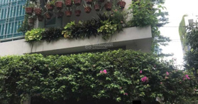 Bán nhà hẻm xe hơi 44 Tân Hưng, P. 12, Q. 5 - LH: 0919570878