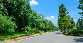 Bán đất nền dự án The Phoenix Garden, Thị trấn Phùng, Đan Phượng, Hà Nội - LH: 0911679669