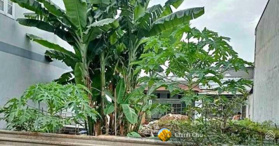 Bán đất tại đường Nguyễn Ảnh Thủ, Bà Điểm, Hóc Môn, Hồ Chí Minh - LH: 093817358