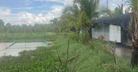 Bán đất trang trại Xã Trung Lập hạ Củ Chi, HCM - LH: 0911630707