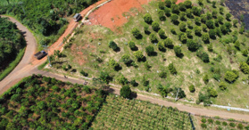 Bán đất thổ cư view đồi săn Mây, Xã Lộc Quảng, SHR - LH: 0931223138