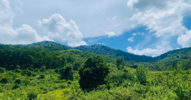 Bán 5ha tại Cao Sơn, Lương Sơn, Hòa Bình- LH: 0965802298