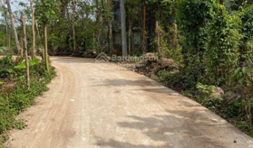 Bán 6 sào đất rẫy xã Bàu Trâm thị xã Long Khánh - LH: 0902768329