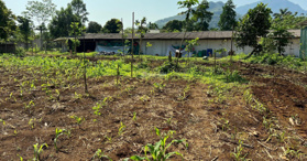 Bán đất trang trại nhà vườn thôn 9, xã Ba Trại, Ba Vì, Hà Nội 720 m2 - LH: 0988168636