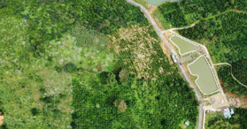 Bán đất nông nghiệp xã Lộc Bắc, Huyện Bảo Lâm, LĐ - LH: 0907799780