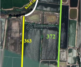 Bán đất lớn mặt tiền sông lộ Phú Thành B, Tam Nông Đồng Tháp LH  0986405881 