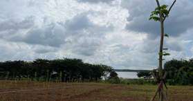 Bán đất nghỉ dưỡng ven hồ Sông Ray, huyện Châu Đức, BRVT - LH: 0907121070