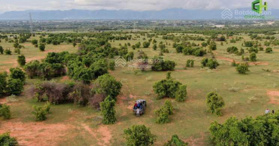 Bán đất vườn hồng thái 3260m2 sổ có đường cách đường liên huyện, Bình Thuận - LH: 0938677909