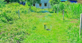 Bán đất tại ngay chợ nổi Cà Mau, LH 0901625793 