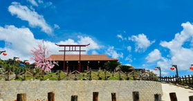 Bán hometays view đẹp Bảo Lộc, Lâm Đồng- LH: 0909920669