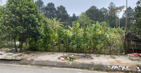 Bán biệt thự khu đô thị Hà Tiên, Vĩnh Yên DT 217m2 0886015298