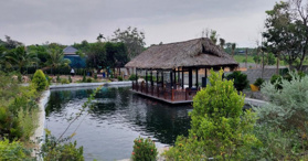 Bán trang trại, khu nghỉ dưỡng tại đường 602, Hòa Phú, Hòa Vang, Đà Nẵng - LH: 0972355247